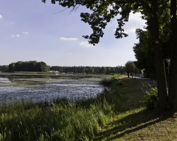 Spokojny zalew Zielona Kalety otoczony lasem, z piaszczystą ścieżką i drzewami wzdłuż brzegu.