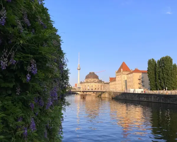 Ein sonniger Sonntag in Berlin. Lila Glyzinien ranken sich vor der Spree, im Hintergrund der Fernsehturm und historische Gebäude.