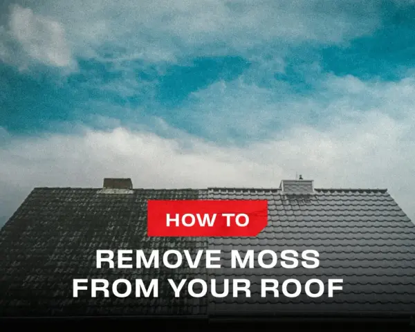 A split roof shows the difference before and after learning how to remove moss from your roof.