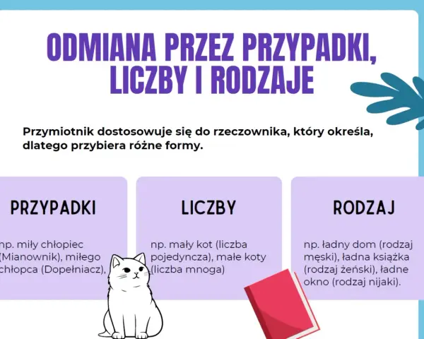 Grafika wyjaśnia odmianę przymiotnika przez przypadki, liczby i rodzaje. Pokazuje, jak przymiotnik dopasowuje się do rzeczownika, przybierając różne formy.