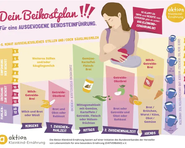 Beikostplan mit Babybrei-Rezepten ab 8. Monat: Gemüse, Obst, Milchbrei & mehr für eine ausgewogene Einführung.