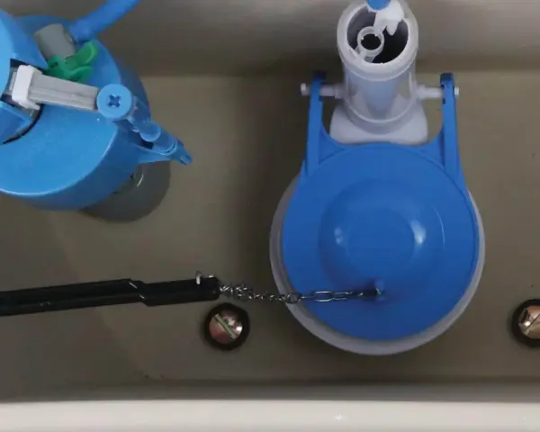 Toilet tank internals. A blue Hydroclean flush valve and a blue dual-flush valve. Could a faulty valve be why does my toilet keep running?