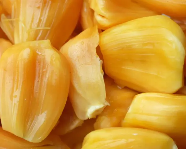 Żółte, soczyste segmenty owocu jackfruit, który to? Wyglądają apetycznie!