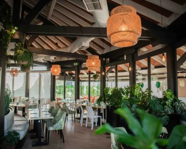 Pizza Jardín Moraleja Green: Carta, Horarios y Claves para tu Visita