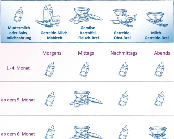 Ernährungsplan für Babys: Muttermilch, Brei (Gemüse, Obst) und Milch-Getreide-Brei für verschiedene Monate und Tageszeiten.