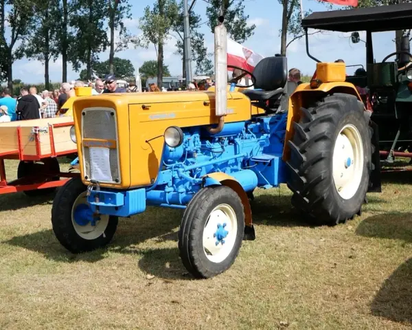 Żółto-niebieski Ursus C-360 na zlocie. Zastanawiasz się, ile oleju do skrzyni C 360?