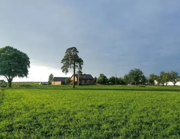 Ile kosztuje odrolnienie działki? Sprawdź, by uniknąć wysokich opłat