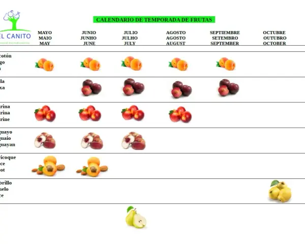 Calendario de temporada de frutas. El melocotón se muestra en mayo, junio, julio y agosto.