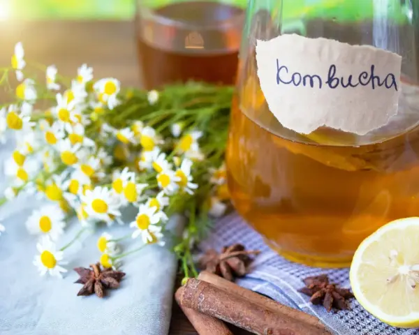 Bouteille de kombucha ambré, décorée de camomille, d'anis étoilé, de bâtons de cannelle et d'une tranche de citron.