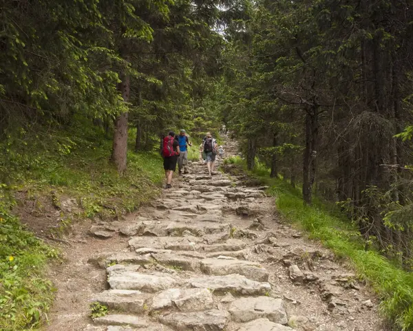 Kamienista ścieżka w lesie, turyści wędrują przez dolinę Jaworzynki.