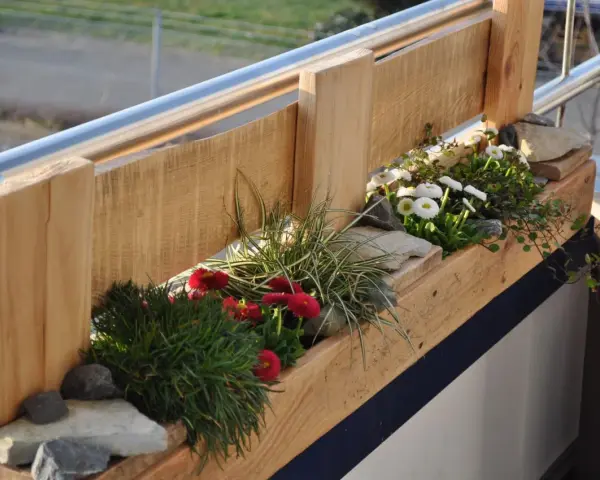 Balconi fioriti moderni con vasi in legno grezzo, margherite bianche e rosse, erba ornamentale e pietre.