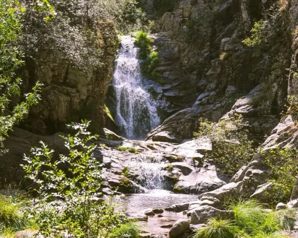 Cascada en un bosque frondoso, un ejemplo de los impresionantes espacios naturales de España.