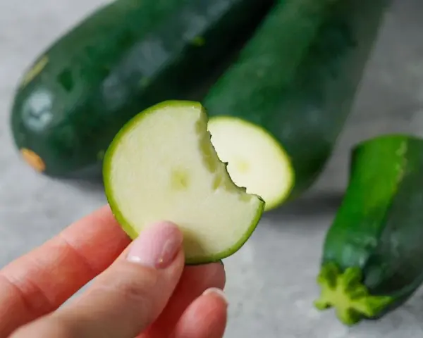 Frische Zucchini roh essen ist gesund und lecker. Eine Hand hält ein Stück, das angeknabbert ist.