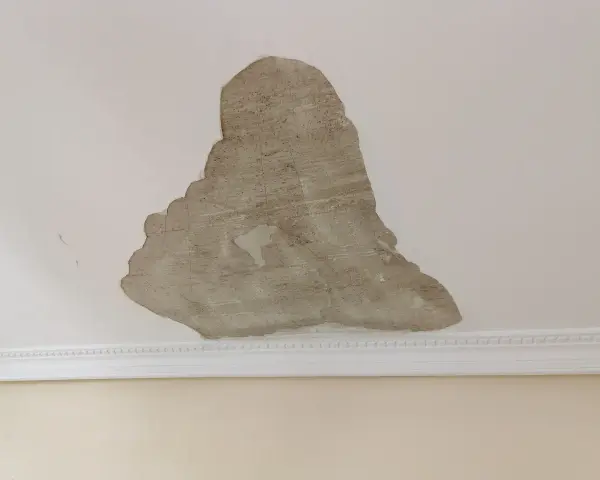 Techo con yeso muerto desprendiéndose, revelando el material subyacente. La moldura blanca decora la unión del techo y la pared.
