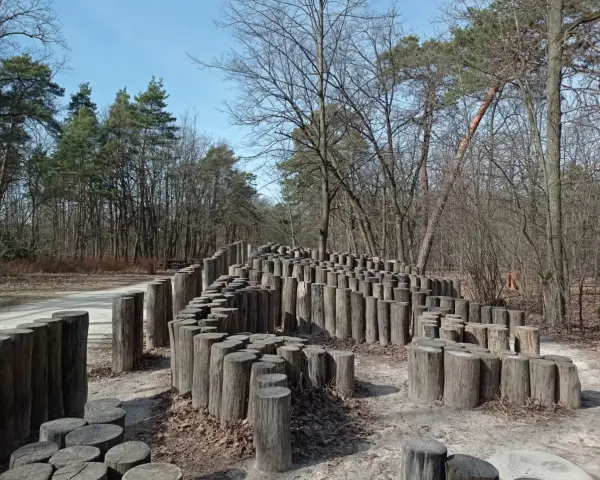 Drewniana instalacja artystyczna w lesie nad rzeką Świdrem. Kręte ścieżki z pni drzew tworzą labirynt.