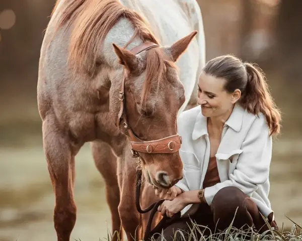 Ein Pferd zeigt, wie es einen mag, indem es seinen Kopf sanft zur Frau neigt und sie mit liebevollen Augen ansieht.