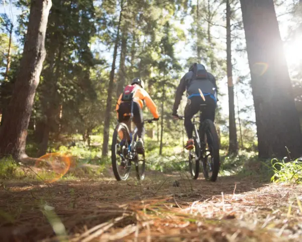 Dwie osoby na rowerach górskich przemierzają leśne trasy rowerowe Nowego Sącza. Słońce przebija się przez drzewa.