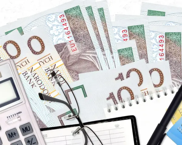 Zestaw do windykacji: banknoty, kalkulator, okulary i długopis. Bocian symbolizuje nadzieję na odzyskanie należności.