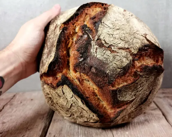 Hand hält ein knuspriges Sauerteigbrot. Die Kruste ist dunkelbraun und rissig. Was ist Brotmehl? Es ist die Grundlage für dieses köstliche Gebäck.