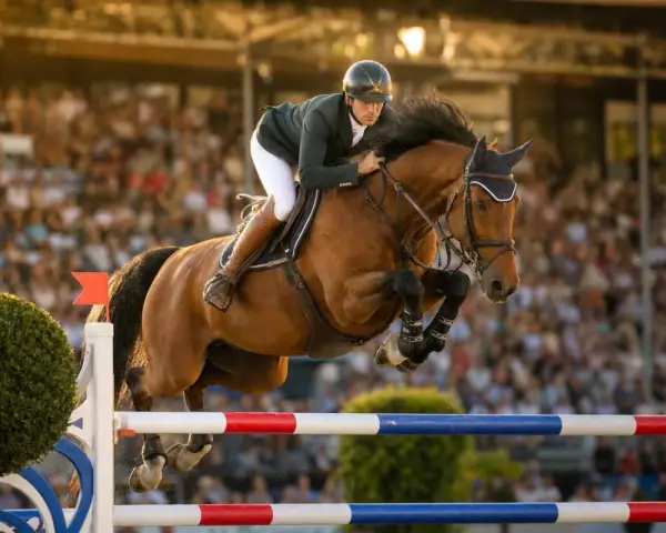 Cavalier et cheval brun en plein saut d'obstacles lors d'un parcours cso devant une foule en délire.