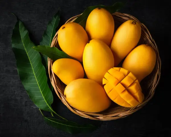 Koszyk pełen soczystych, żółtych mango, jedno przekrojone w kostkę. Obok zielone liście mango.