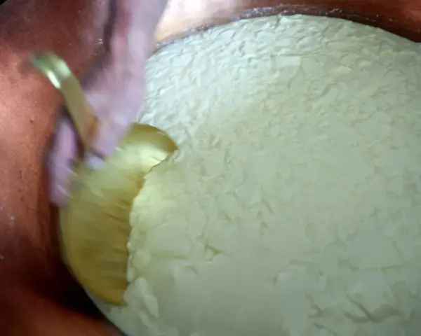 Mélange du caillé dans une cuve en cuivre, étape clé après la traite des vaches pour la fabrication du fromage.