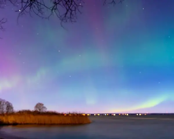 En magisk norrsken resa i Sverige. Aurora Borealis dansar över en sjö med träd och vass i förgrunden.