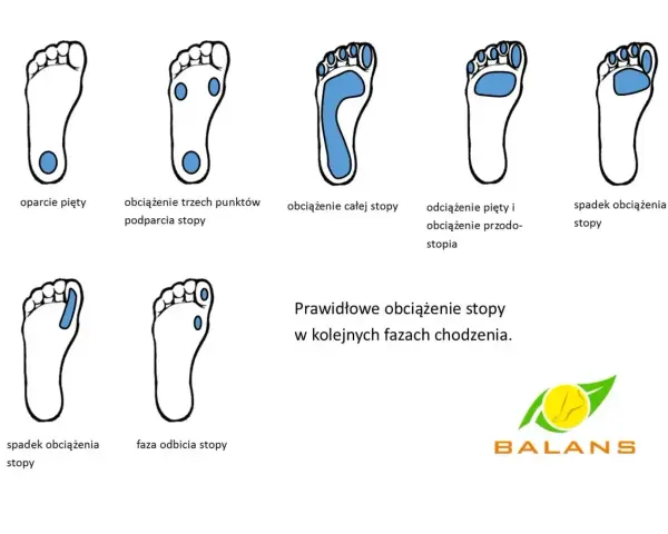 Ilustracje pokazują prawidłowe obciążenie stopy w chodzeniu, od pięty po palce. Brak prawidłowego podparcia łuku stopy może prowadzić do płaskostopie.