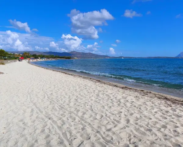 Spiaggia Cala d'Ambra: sabbia dorata, mare azzurro e montagne all'orizzonte. Un angolo di paradiso per rilassarsi.