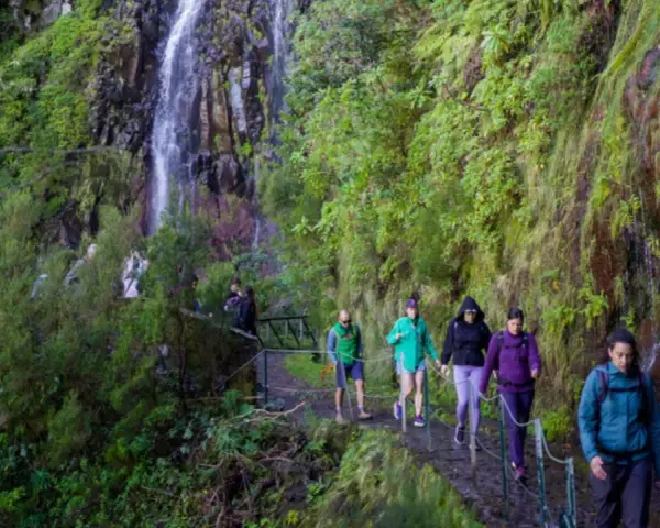 Randonneurs sur un sentier étroit longeant une cascade luxuriante, une expérience typique d'une levada à Madère.