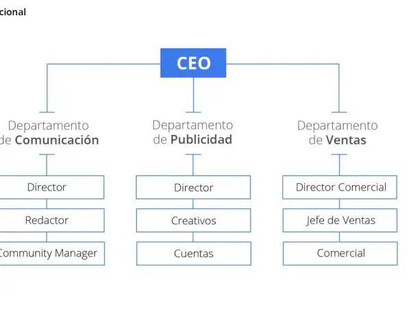Organigrama funcional que muestra la estructura organizativa funcional de una empresa, con el CEO en la cima y departamentos como Comunicación, Publicidad y Ventas.