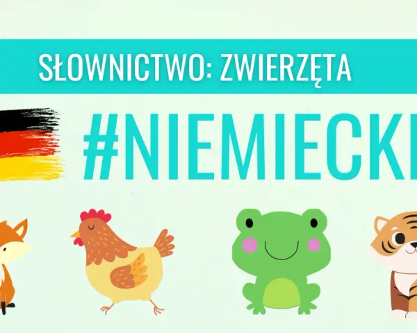 Słownictwo: zwierzęta po niemiecku. Lis, kura, żaba i tygrys uczą się języka. #NIEMIECKI