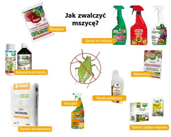 Domowy oprysk na mszyce i inne szkodniki: naturalne produkty, ziemia okrzemkowa, Mospilan, NeemAzal, Emulpar, mydło potasowe, spraye i taśmy lepowe.