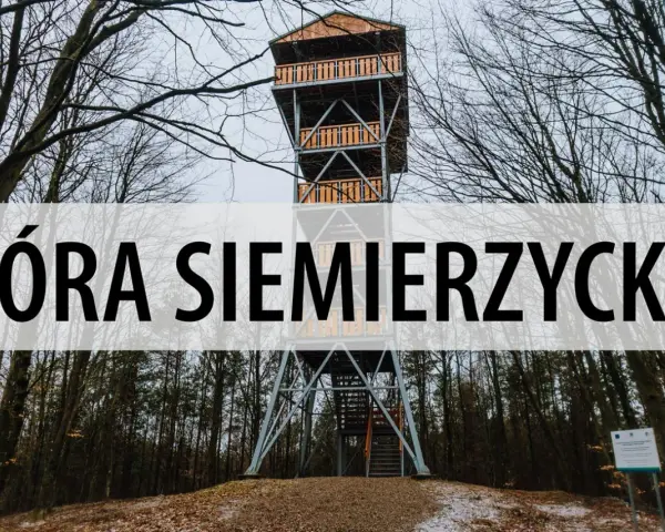 Wieża widokowa na Górze Siemierzyckiej w otoczeniu nagich drzew.