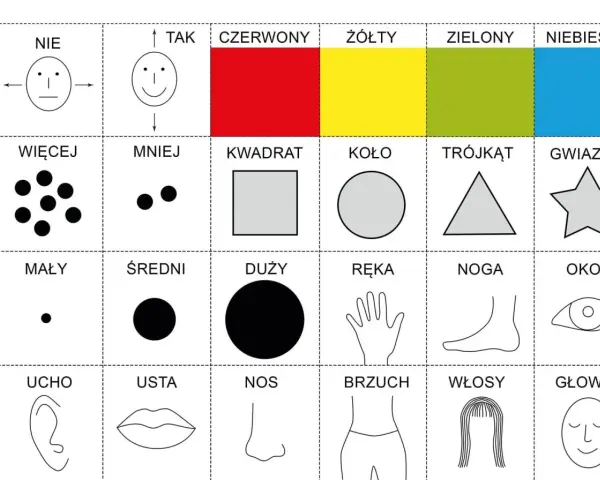 Pomoc w nauce dla 6 latka: kolory, kształty, liczby, części ciała.