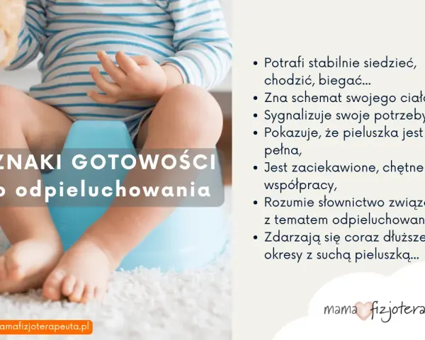 Oznaki gotowości do odpieluchowania 3 latka: dziecko siedzi, chodzi, sygnalizuje potrzeby, rozumie słownictwo.
