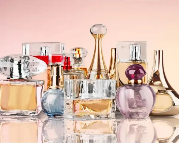 Euphoria EDP czy EDT? Poznaj różnice i znajdź swój zapach