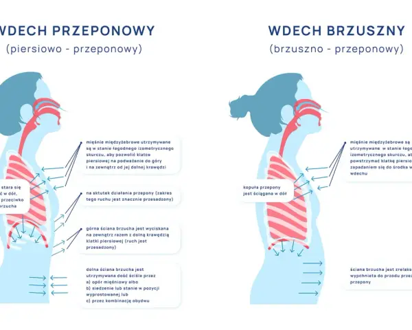 Ilustracja pokazuje dwa typy wdechu: piersiowo-przeponowy i brzuszno-przeponowy. W obu przypadkach kluczowe jest **oddychanie przeponowe**, które angażuje przeponę do głębszego wdechu.