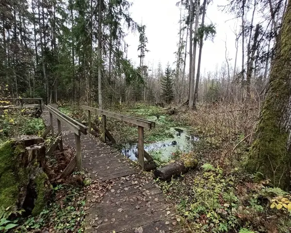 Rezerwat przyrody Krzemianka: piękno natury i unikalne atrakcje