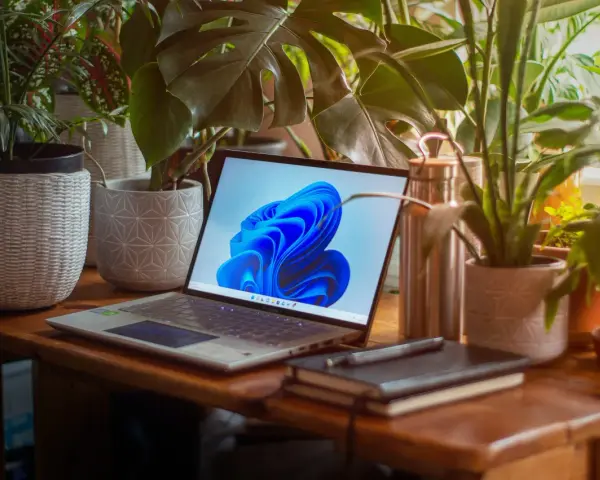 Laptop z systemem Windows 11 otoczony roślinami. Zastanawiasz się, ile zajmuje Windows 11?