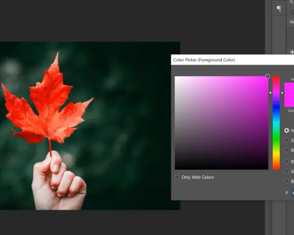Photoshop: Zmień kolor zdjęcia. Naturalnie i precyzyjnie!