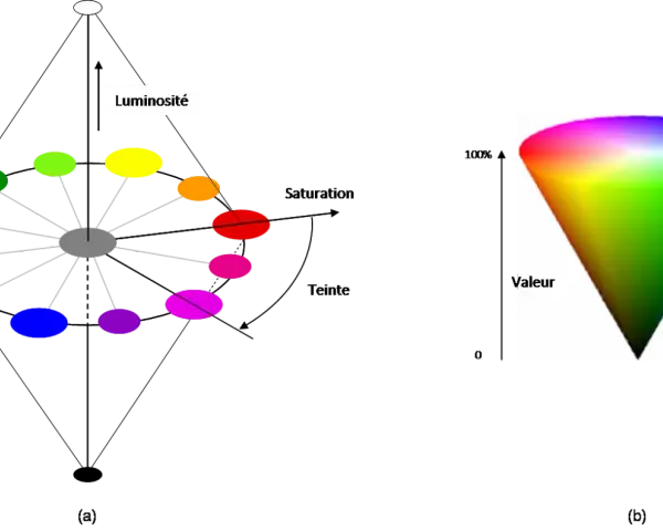 Modèle de couleur TSL : roue chromatique montrant la teinte, la saturation et la luminosité, et un cône de couleur représentant la valeur.