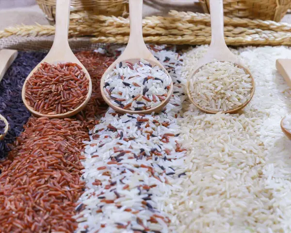 Cucharas de madera con arroz negro, rojo, integral y blanco, perfectos para tus recetas de arroz.