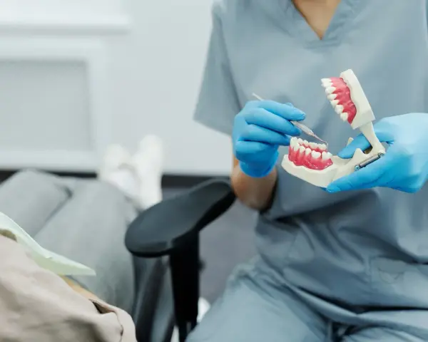 Dentysta pokazuje na modelu, jak radzić sobie z bólem, gdy rosnący ząb mądrości sprawia kłopoty.