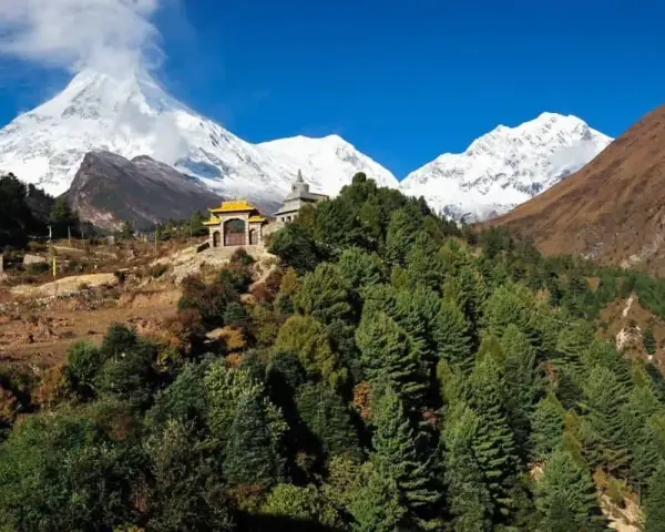 Wzgórza porośnięte sosnami, buddyjska świątynia i ośnieżone szczyty Himalajów podczas Manaslu Circuit Trek.