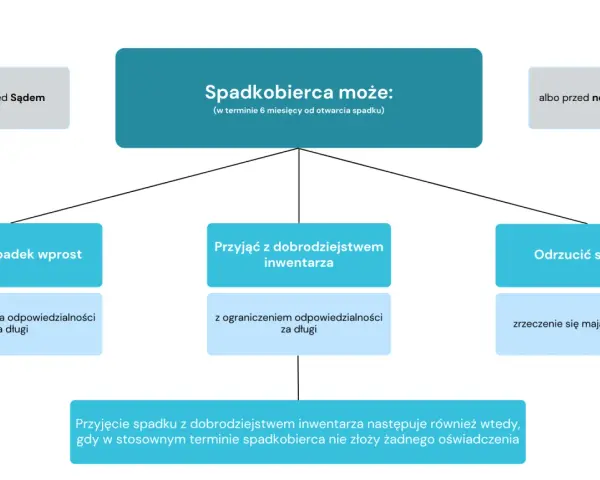 Schemat przedstawia opcje spadkobiercy: przyjąć spadek wprost, z dobrodziejstwem inwentarza lub odrzucić. Dotyczy to dziedziczenia ustawowego.