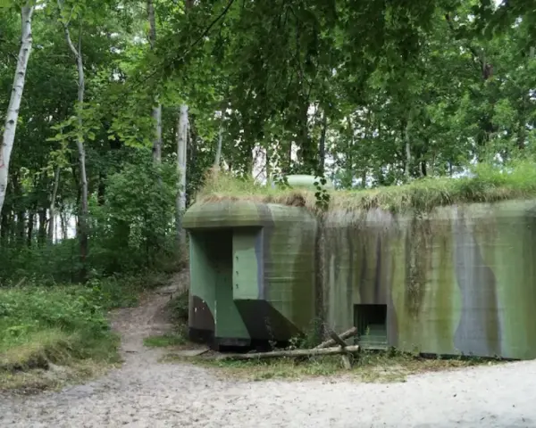 Skansen fortyfikacji Jastarnia: betonowe bunkry w kamuflażu, porośnięte trawą, ukryte wśród drzew i piasku.