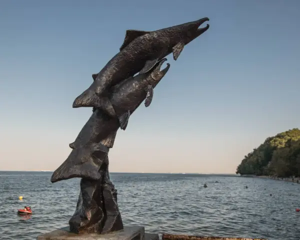 Gdynia co warto zobaczyć? Odkryj najlepsze atrakcje i smaki!