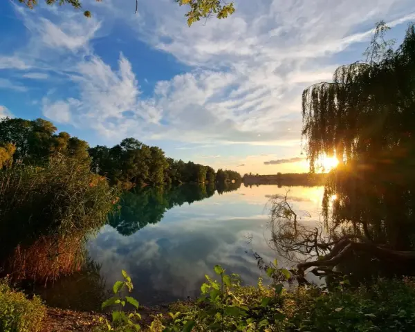 Sonnenuntergang am Rimsinger Baggersee. Die Wolken spiegeln sich im ruhigen Wasser, umrahmt von Bäumen und Schilf.