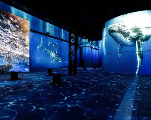 Immersives Erlebnis mit Walen und Wellen, das an **Hamburg abends** erinnert. Blaue Projektionen auf Wänden und Boden erzeugen Unterwasserwelt.